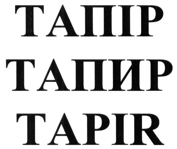 tapir