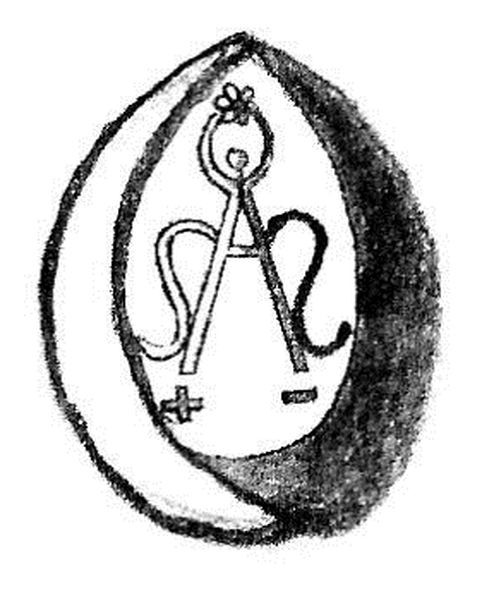 sas