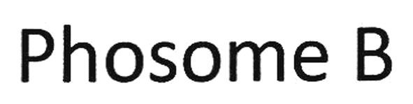 phosome b