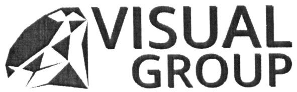 visual group