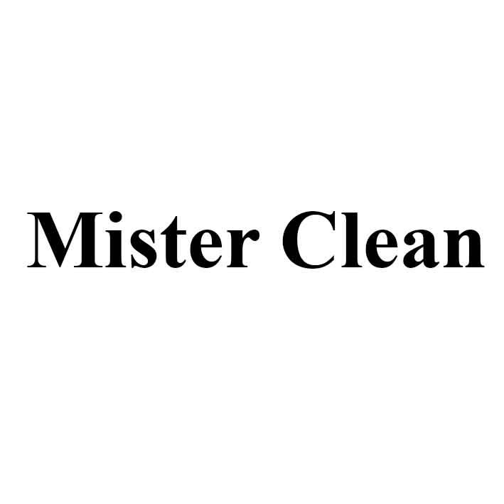 mister clean