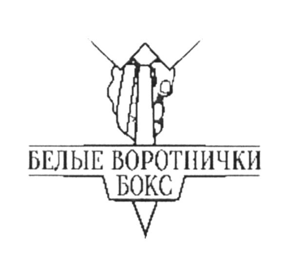 белые воротнички бокс