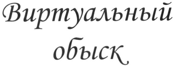 виртуальный обыск