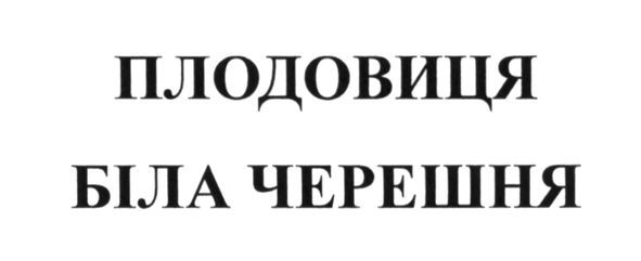 плодовиця біла черешня