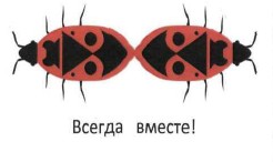всегда вместе!