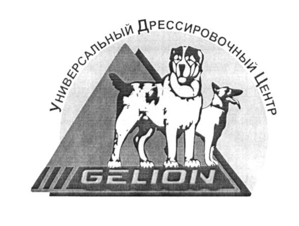 универсальный дрессировочный центр