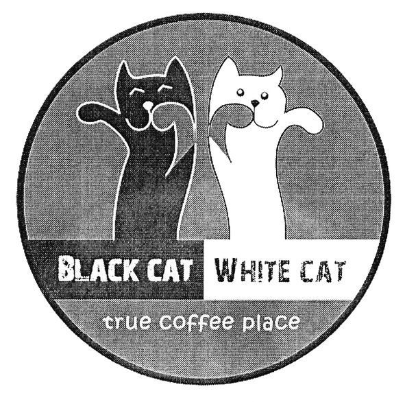 black cat white cat
