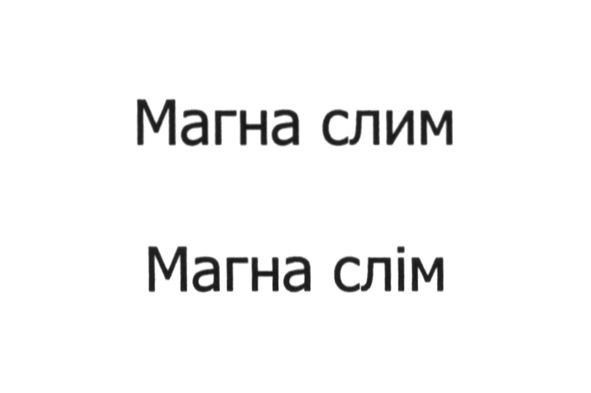 магна слим