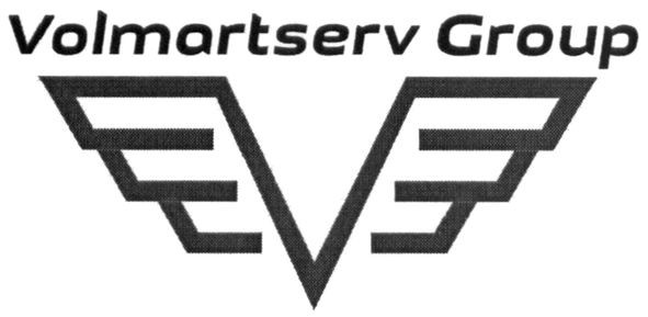 volmartserv group