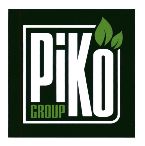 piko group
