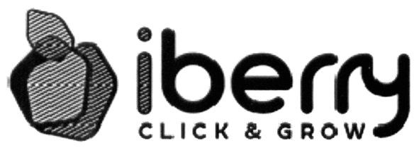 iberry click&grow