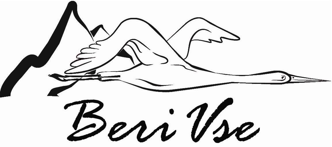 beri vse