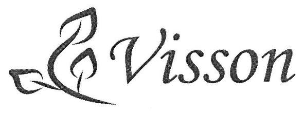 visson