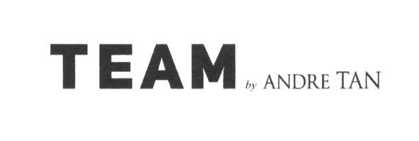 team by andre tan