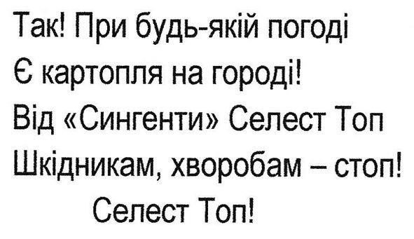 так! при будь-якій погоді є картопля на городі! від сингенти селест топ шкідникам, хворобам-стоп!селест топ
