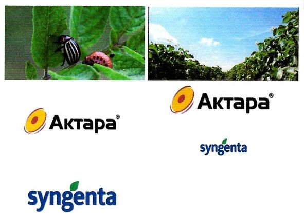 syngenta