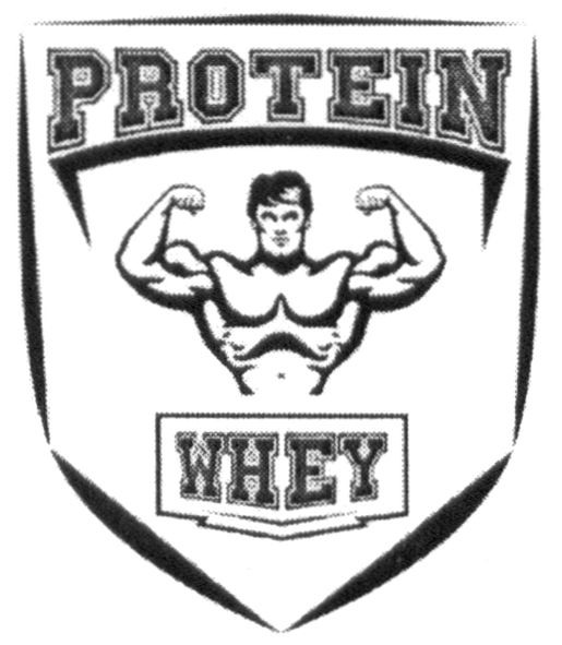 protein whey