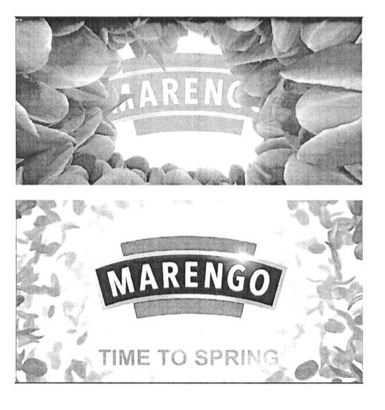 time to spring