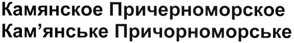 кам'янське причорноморське