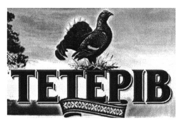 тетерів