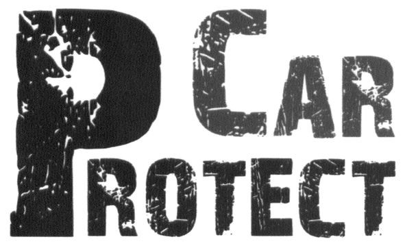 car protect