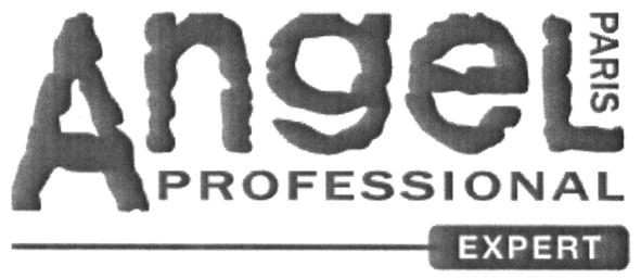 angel paris professional expert