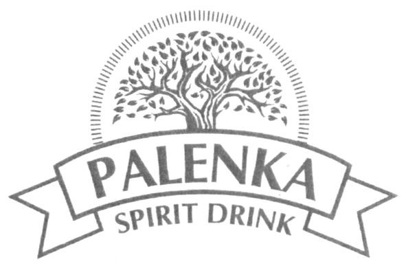 palenka spirit drink