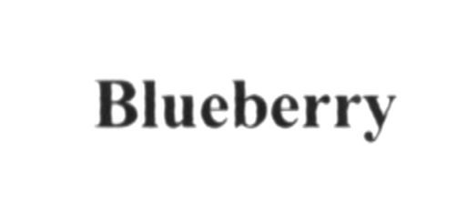 blueberry