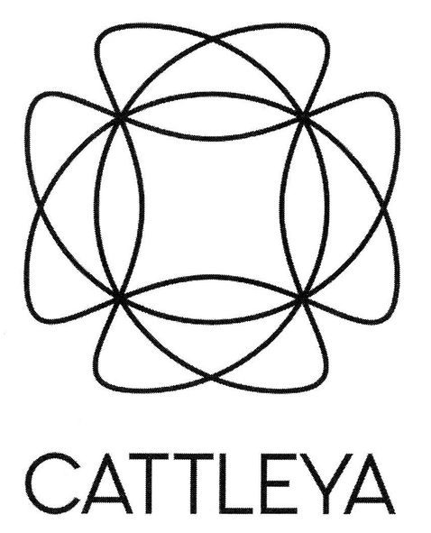 cattleya
