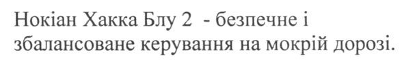 нокіан хакка блу 2-безпечне і збалансоване керування на мокрій дорозі.