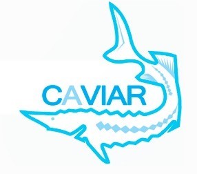 caviar
