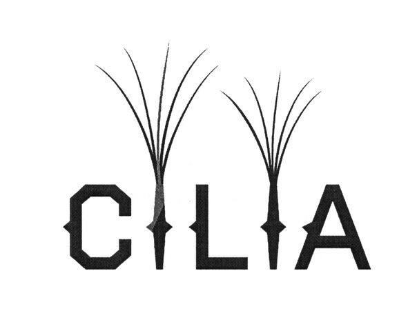 cilia