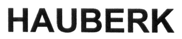 hauberk