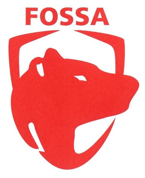 fossa