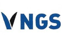 vngs