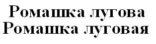 ромашка луговая