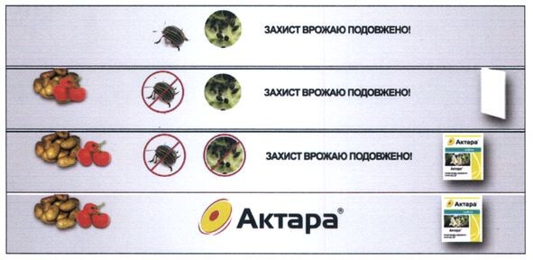 інсектицид широкого спектру дії