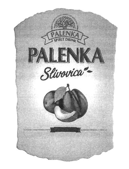 palenka slivovica