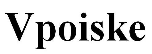 v poiske