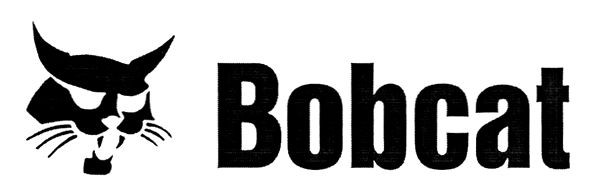 bobcat