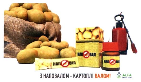 з наповалом-картоплі валом!