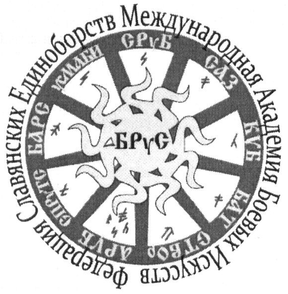 федерация славянских единоборств международная академия боевых искусств