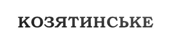 козятинське