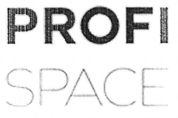 profi space