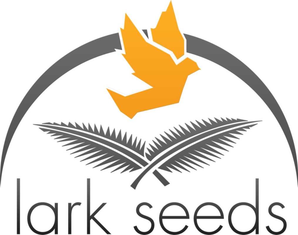 lark seeds