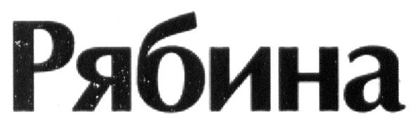 рябина
