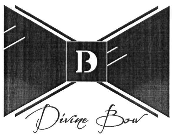 divine bow