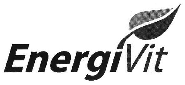 energi vit