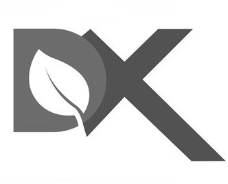 dx