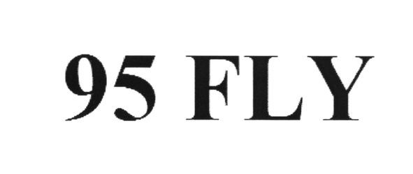 95 fly